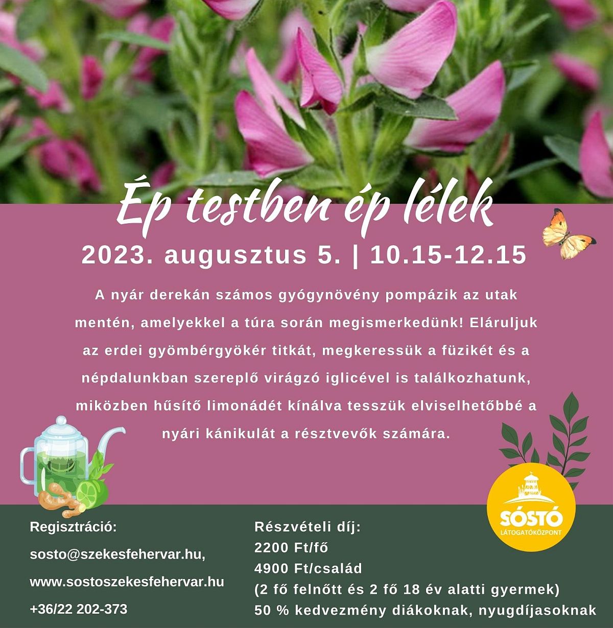Ép testben ép lélek – túra hideg limonádéval a Sóstón